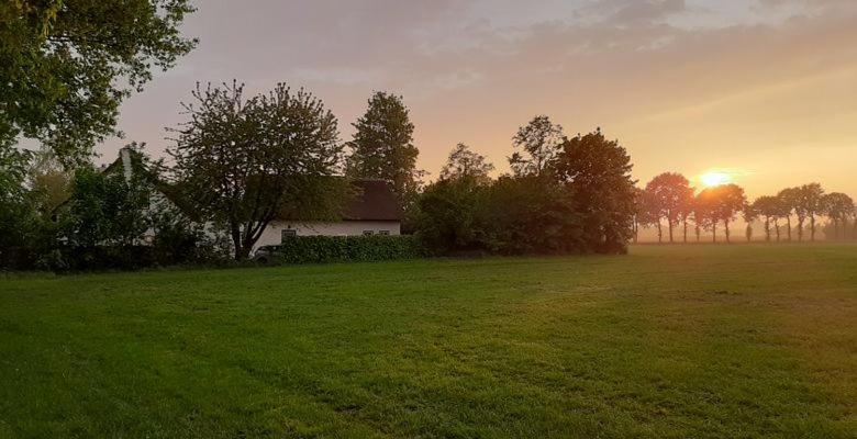 Guesthouse Rijsbergen_Zundert Dış mekan fotoğraf