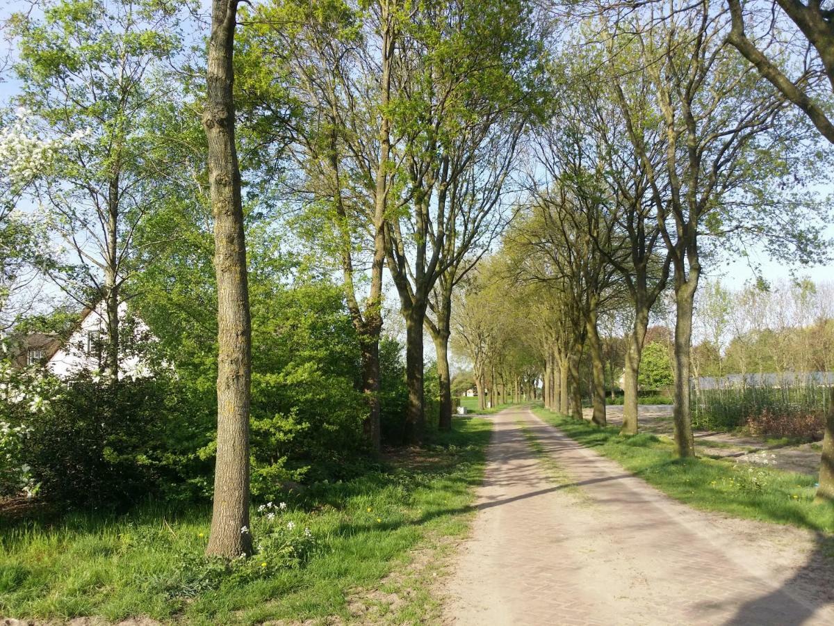 Guesthouse Rijsbergen_Zundert Dış mekan fotoğraf